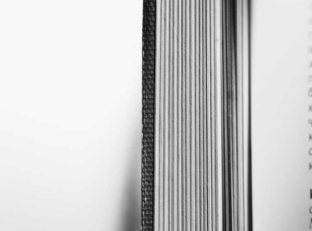 financial statements guide