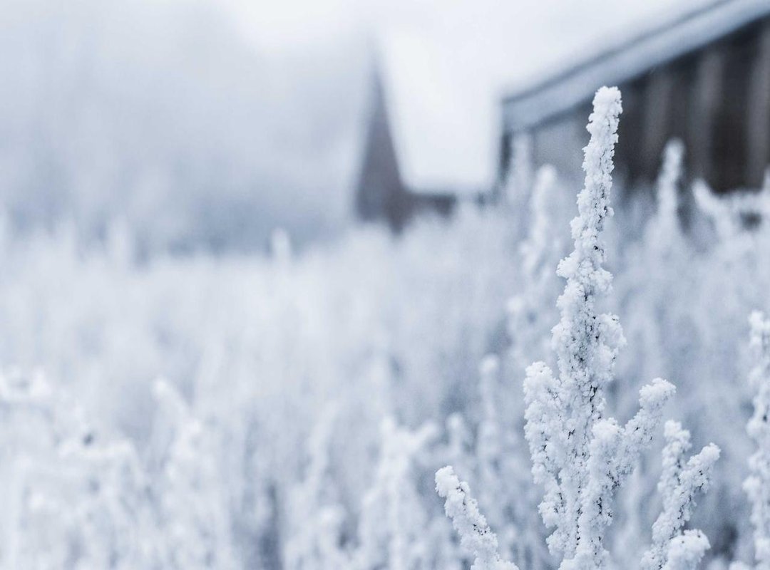 Al-Taawoun FC: Team Overview and Key Players