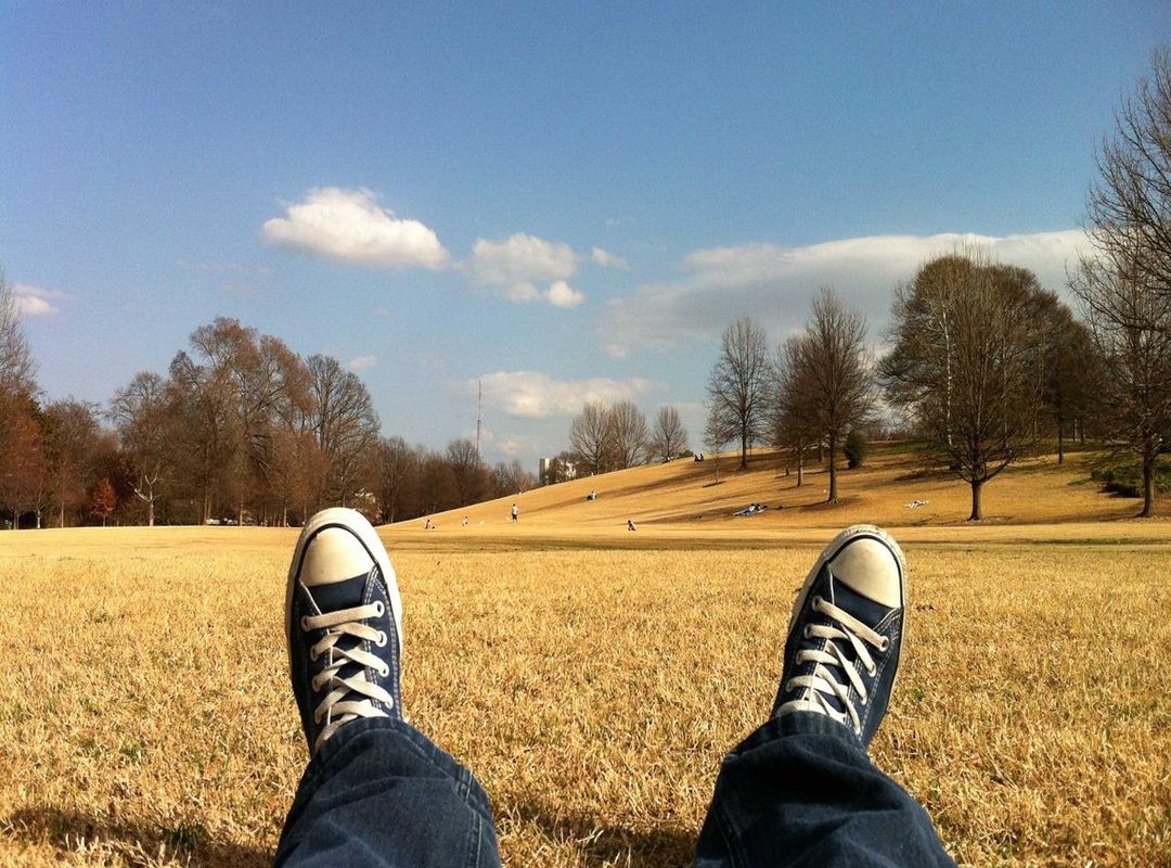 Life After the Final Bell: Lerner's Enduring Impact