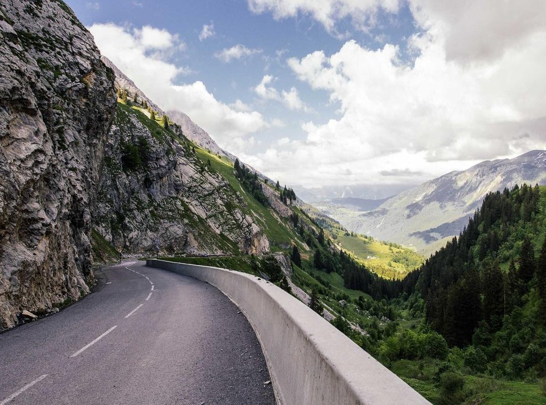 Forging Her Own Path: What Tiger Lily Does Now