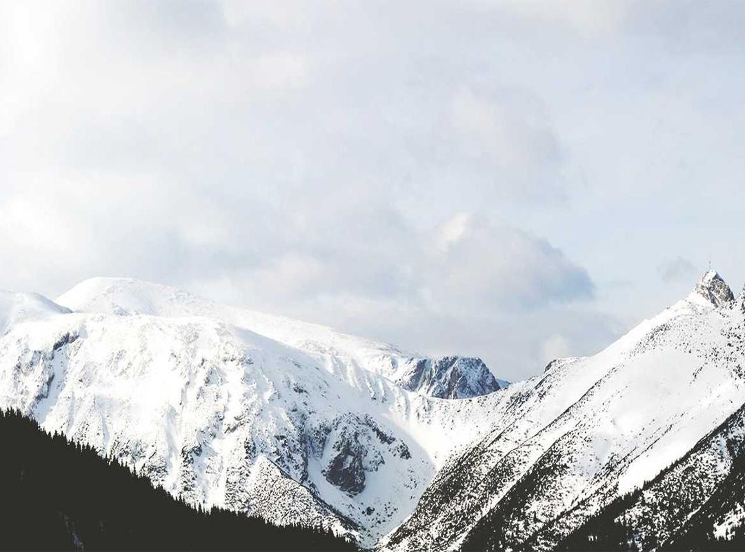 Air Signs (Gemini, Libra, Aquarius): Navigating New Ideas and Connections