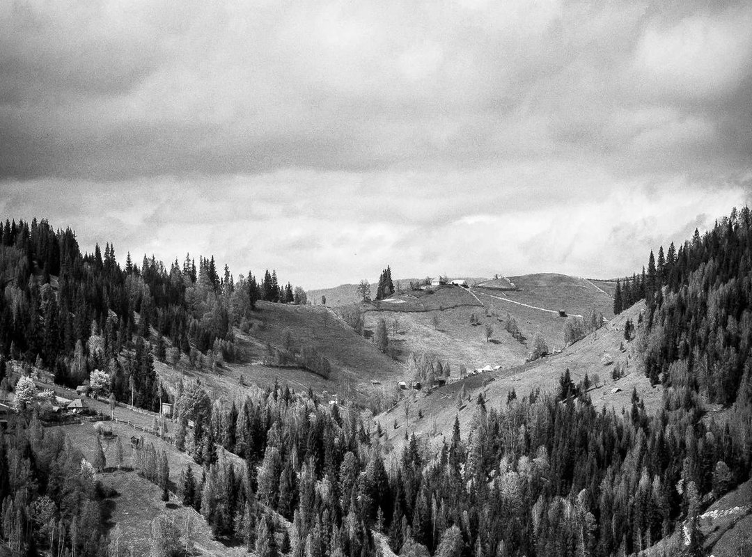 Breaking the Silence: The Impact of Her Openness