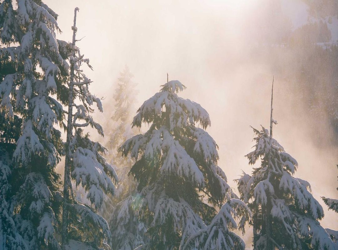 Important: Is It Safe and Legal to Use?