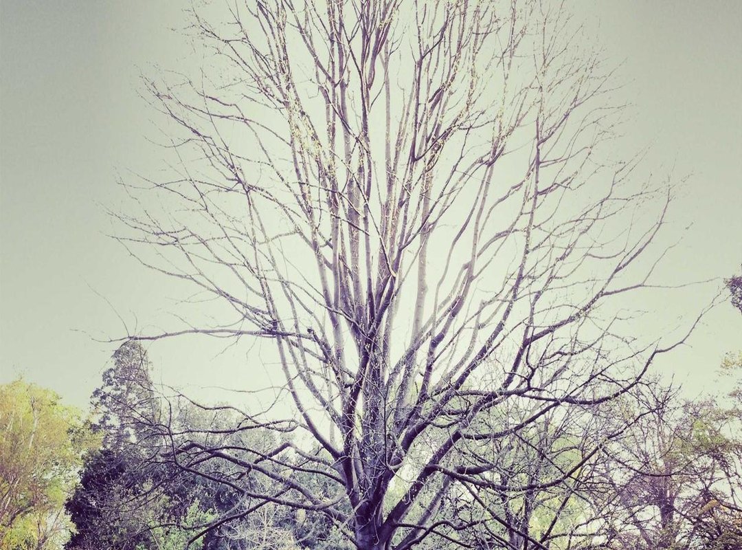 Plot Clues and Theories: What Will the Next Game Be?