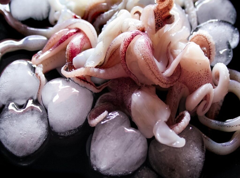 squid game season 2 release date countdown